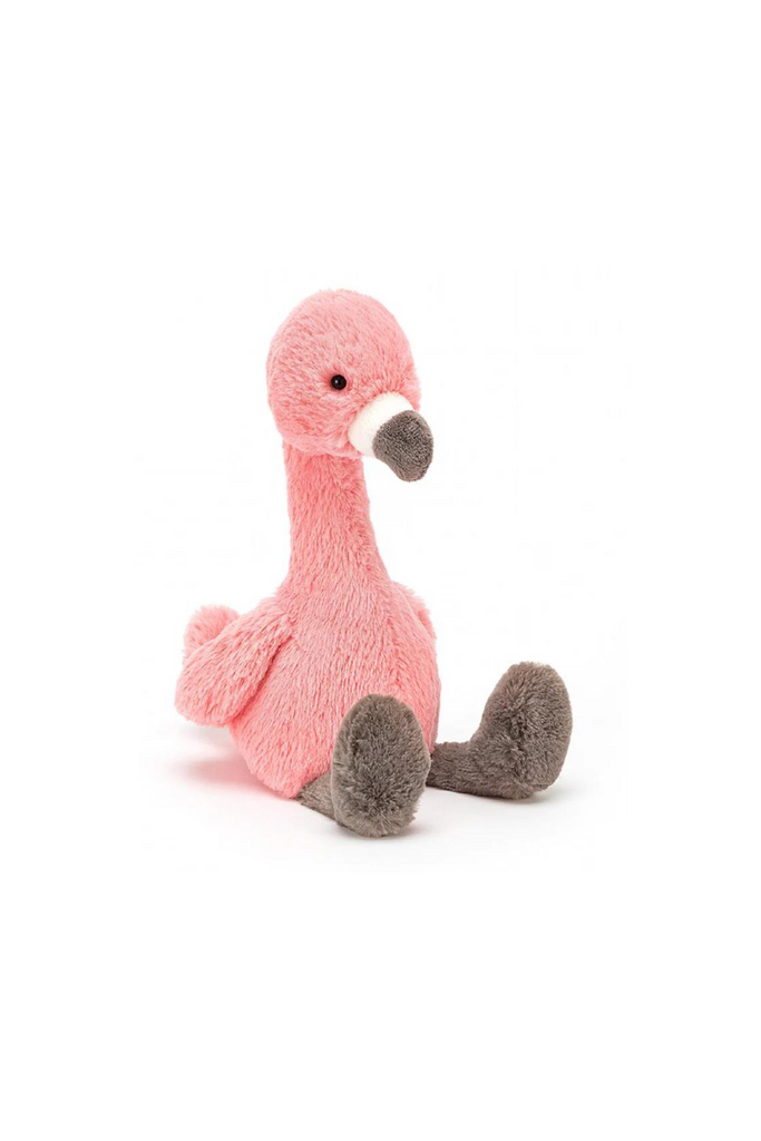 Bashful Flamingo